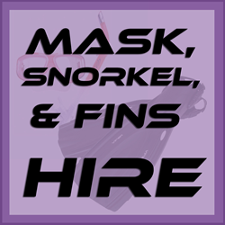 Mask,snorkel, Fins Hire On Charter